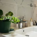 Mid-nest - Artitude * Bükreş